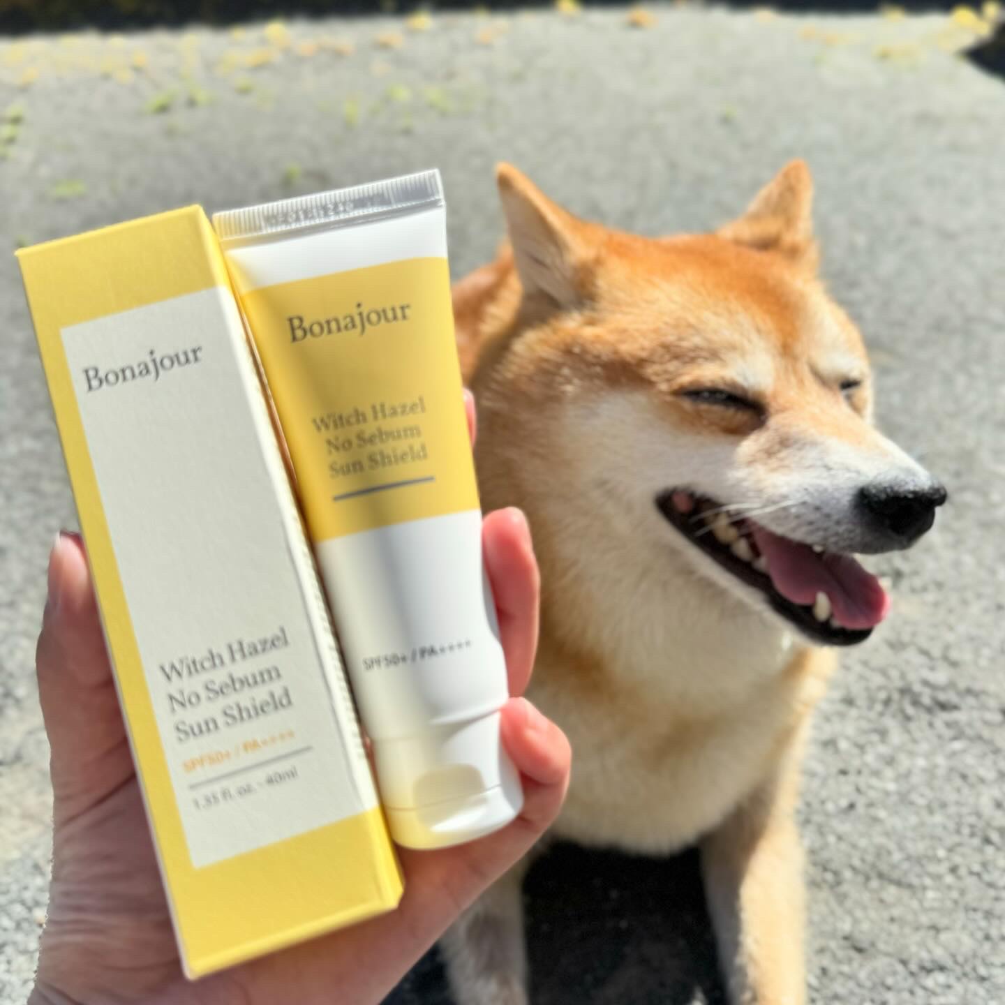 ウィッチハーゼル ノーセバムサンクリーム/Bonajour/日焼け止めクリームを使ったクチコミ（1枚目）