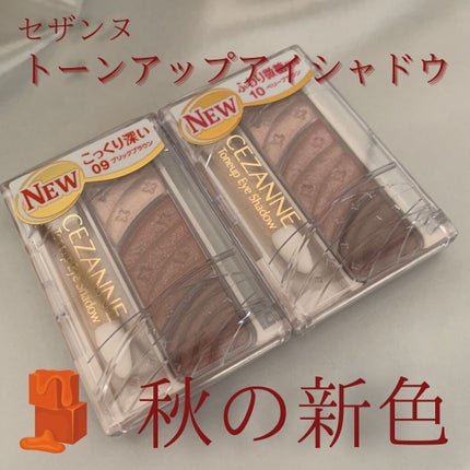 トーンアップアイシャドウ/CEZANNE/アイシャドウパレットを使ったクチコミ(1枚目)
