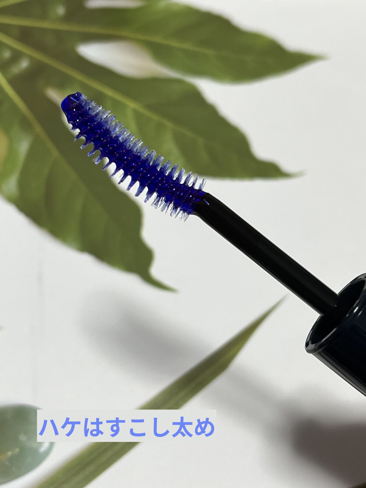 マジックティント/MAJOLICA MAJORCA/マスカラを使ったクチコミ（2枚目）