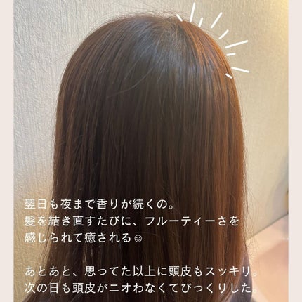 OR スパ・シャンプー/ヘアトリートメント シルキーナイトリペア/Off&Relax/市販シャンプーを使ったクチコミ(6枚目)