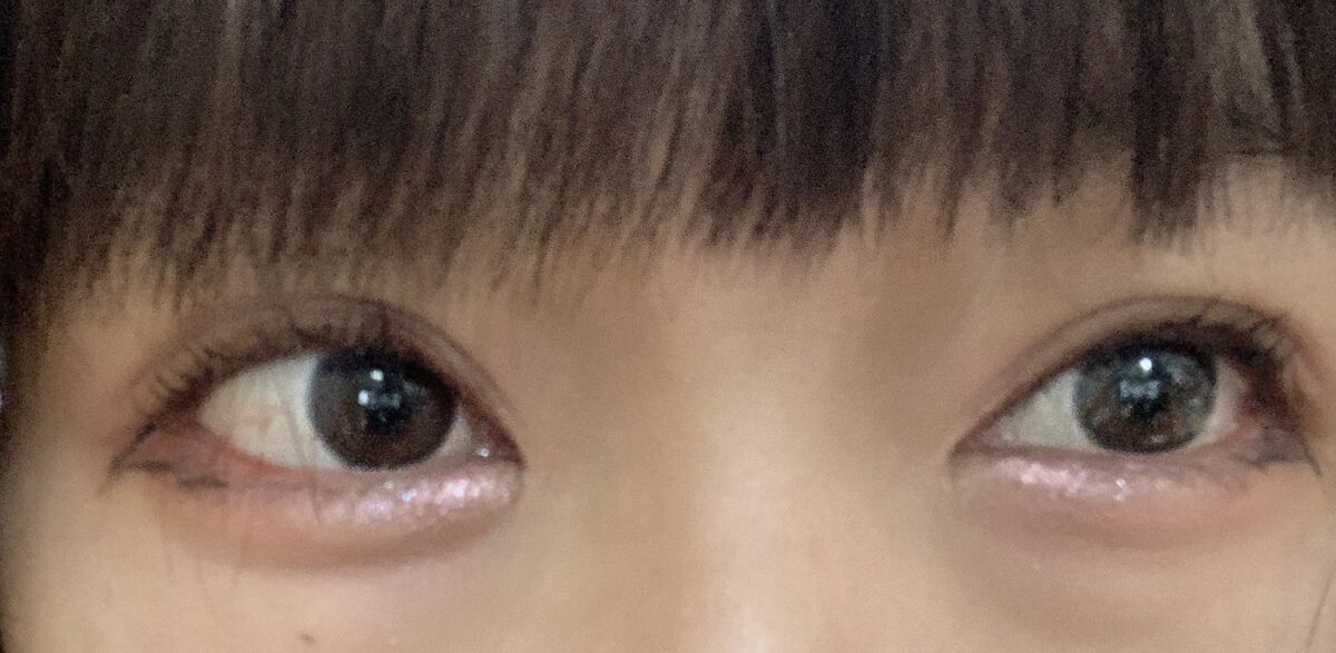 スイートドルチェアイズ #07 ラズベリーロールケーキ/LEEMEMBER/アイシャドウパレットを使ったクチコミ（2枚目）