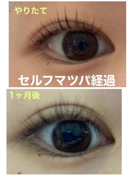 EYE2IN 低刺激 セルフプロ用 まつげパーマ 3種 セット/Qoo10/その他キットセットを使ったクチコミ(1枚目)