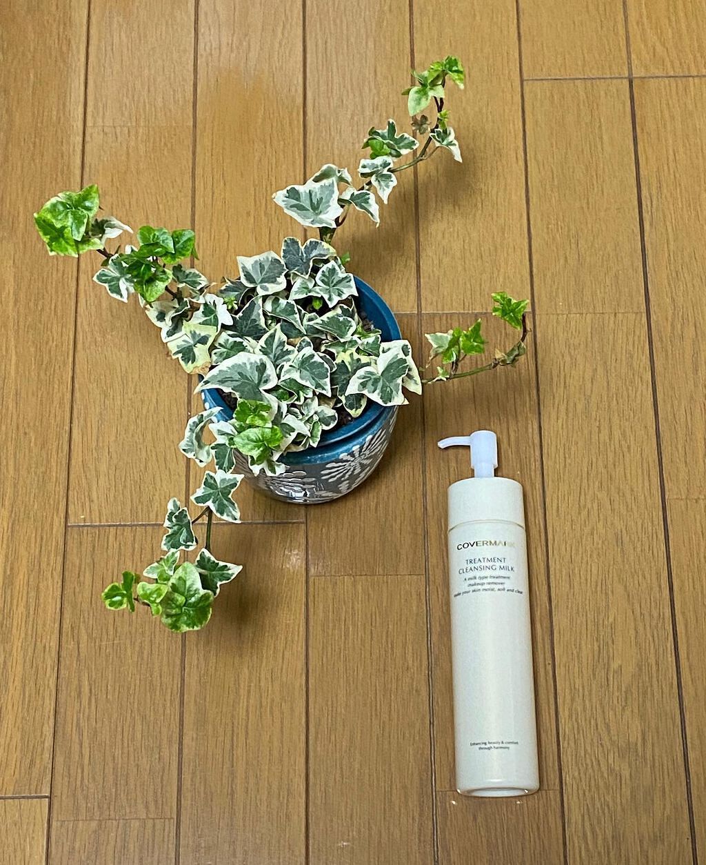 トリートメント クレンジング ミルク/COVERMARK/ミルククレンジングを使ったクチコミ(3枚目)