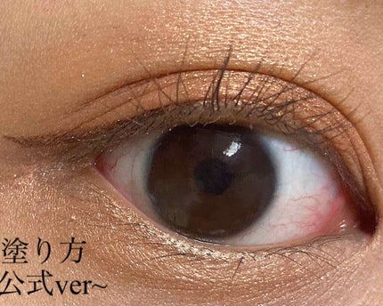 ジンジャーアイシャドウパレット 9A03 サファリブラウン/SHIRO/アイシャドウパレットの画像