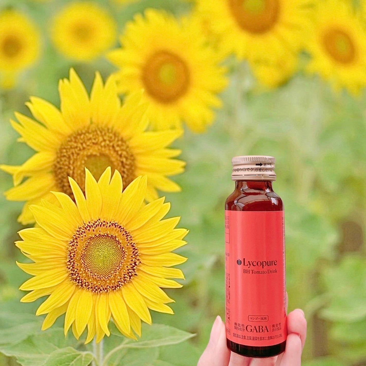 BH トマトドリンク/リコピュア/美容ドリンクを使ったクチコミ(1枚目)