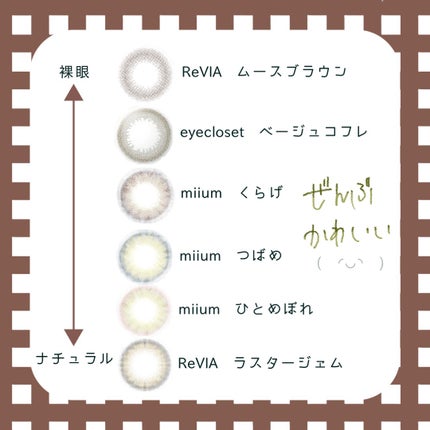 ReVIA 1day/ReVIA/ワンデー(1DAY)カラコンを使ったクチコミ(9枚目)