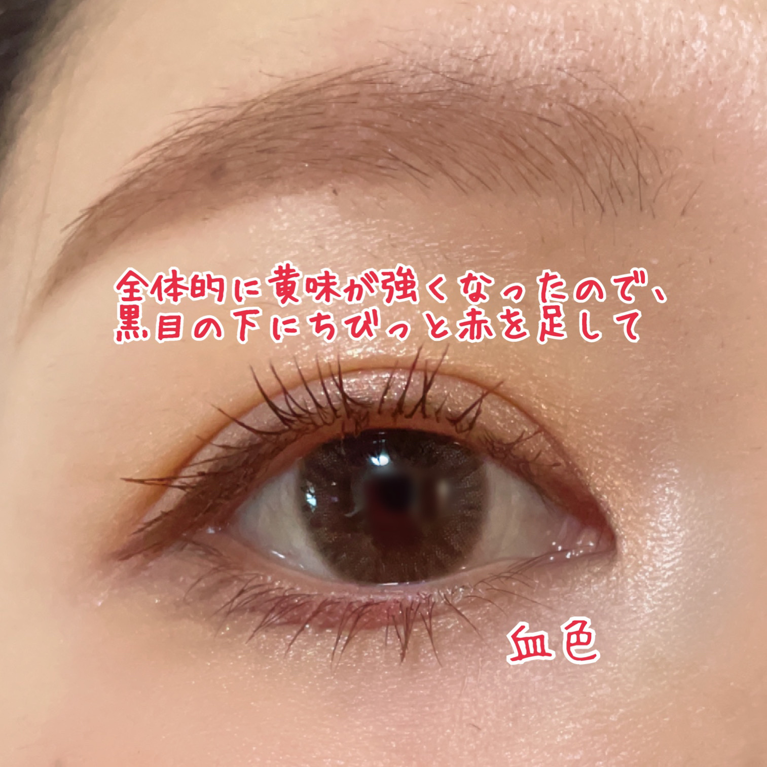 ジルスチュアート ニュアンスブロウパレット 06 red shade/JILL STUART/パウダーアイブロウを使ったクチコミ（2枚目）