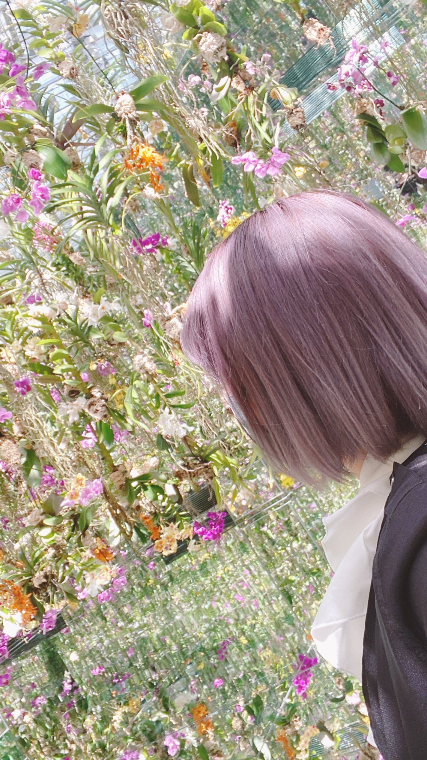 カラージェニック ミルキーヘアカラー (ちらっと白髪用)/サイオス/ヘアカラーを使ったクチコミ(3枚目)