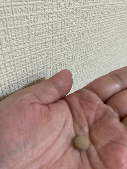 ザ・カーボハイドレートプレミアムダイエット/マザーリーフ/ボディサプリメントを使ったクチコミ(3枚目)