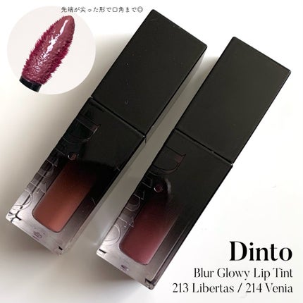 ブラーグロイリップティント/Dinto/リップティントを使ったクチコミ(2枚目)