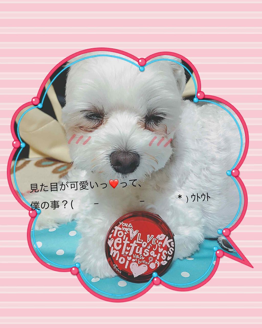 ハートフェースカラーa/ettusais/プレストパウダーを使ったクチコミ（1枚目）