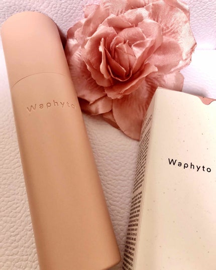 Regena Toner ã¬ãžã§ã ãããŒ/Waphyto/åç²§æ°Žã䜿ã£ãã¯ãã³ãïŒ1æç®ïŒ