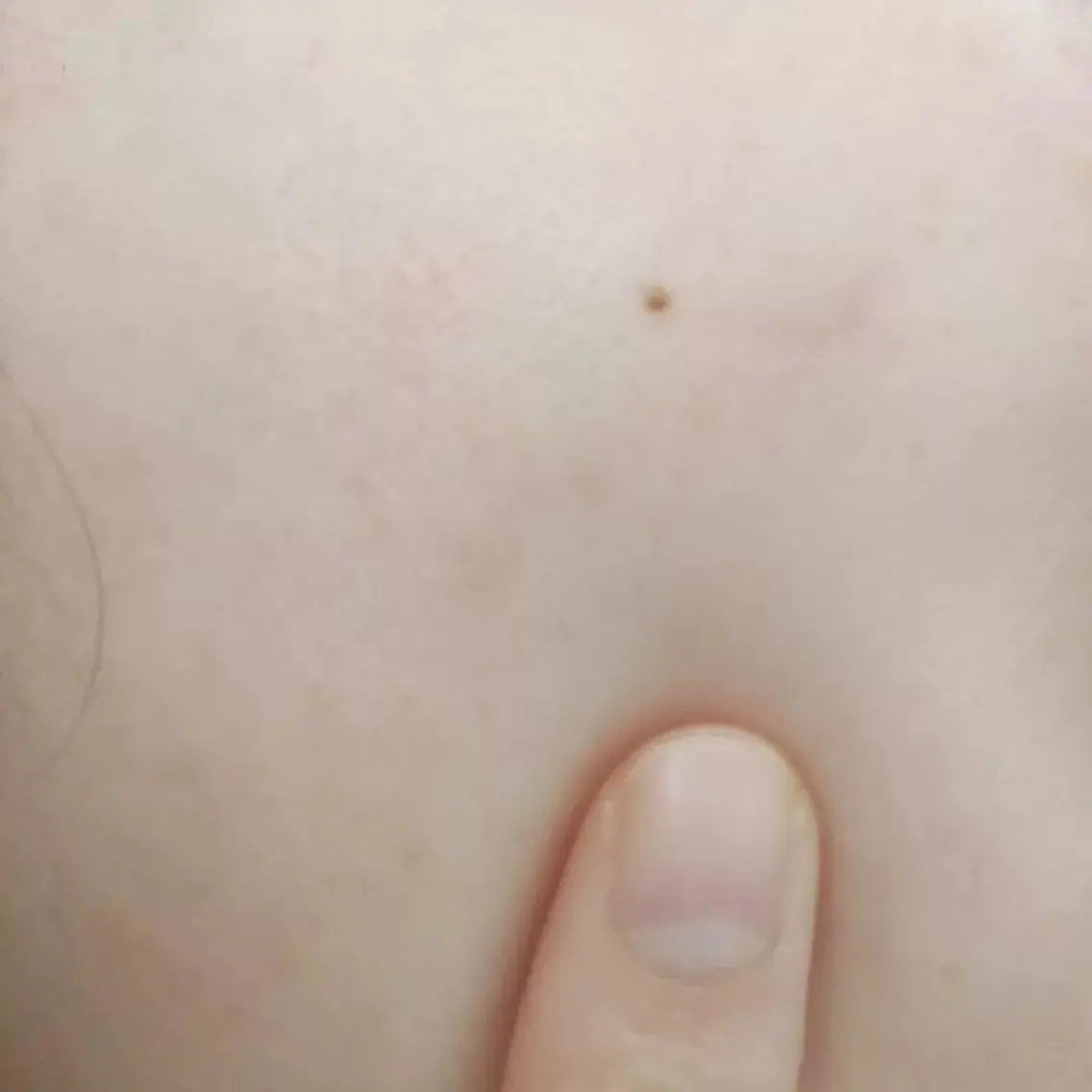 Wonder Ceramide Mochi Toner(トニーモリーワンダーCモチトナー)/TONYMOLY/化粧水を使ったクチコミ(5枚目)