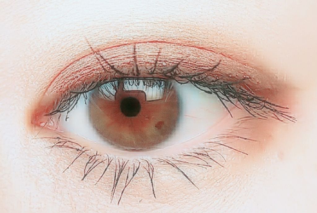 シングルカラーアイシャドウ/CEZANNE/単色アイシャドウを使ったクチコミ（1枚目）