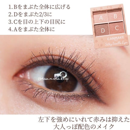 シルキースフレアイズ(マットタイプ)/キャンメイク/アイシャドウパレットを使ったクチコミ(4枚目)