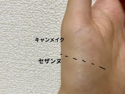 シェーディングパウダー/キャンメイク/シェーディングを使ったクチコミ(2枚目)