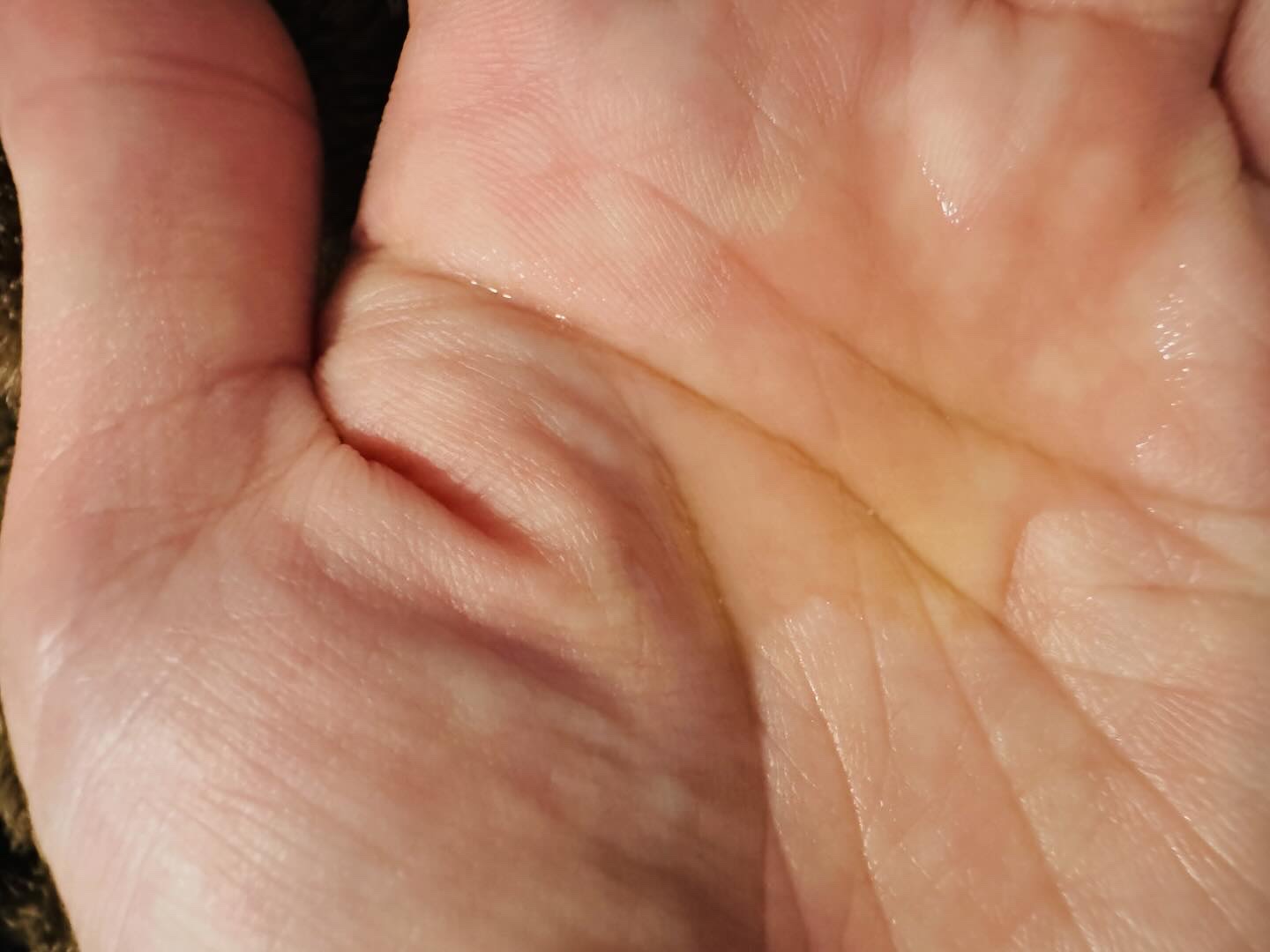 SILKY PRIMA/クオリ/美容液を使ったクチコミ（3枚目）