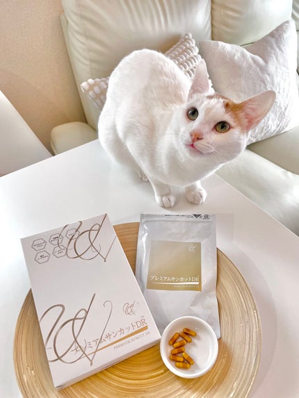 プレミアムサンカットDR/swiss/美容サプリメントを使ったクチコミ(2枚目)