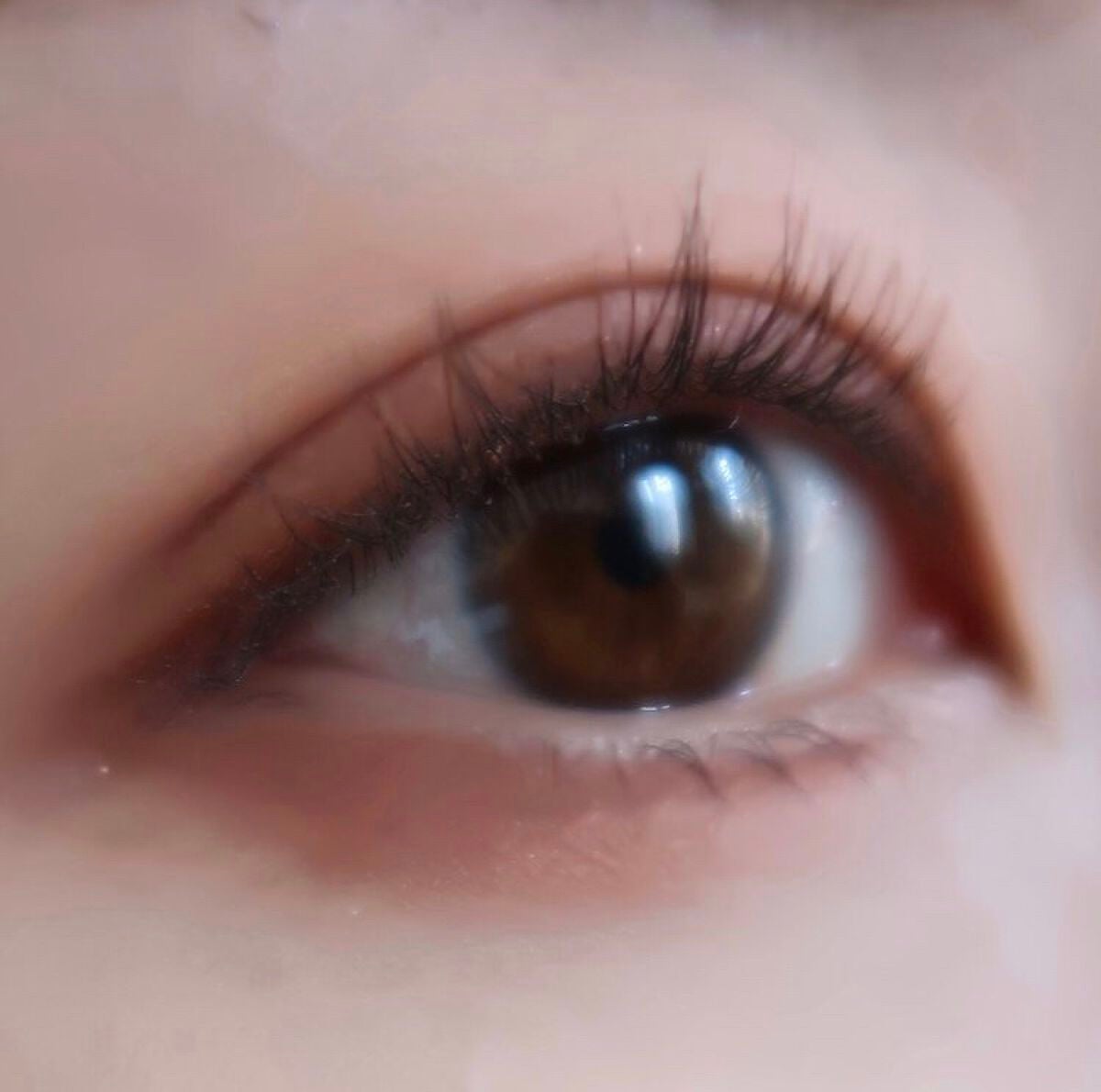 カービングアイラッシュカーラー/コージー/ビューラーを使ったクチコミ(2枚目)