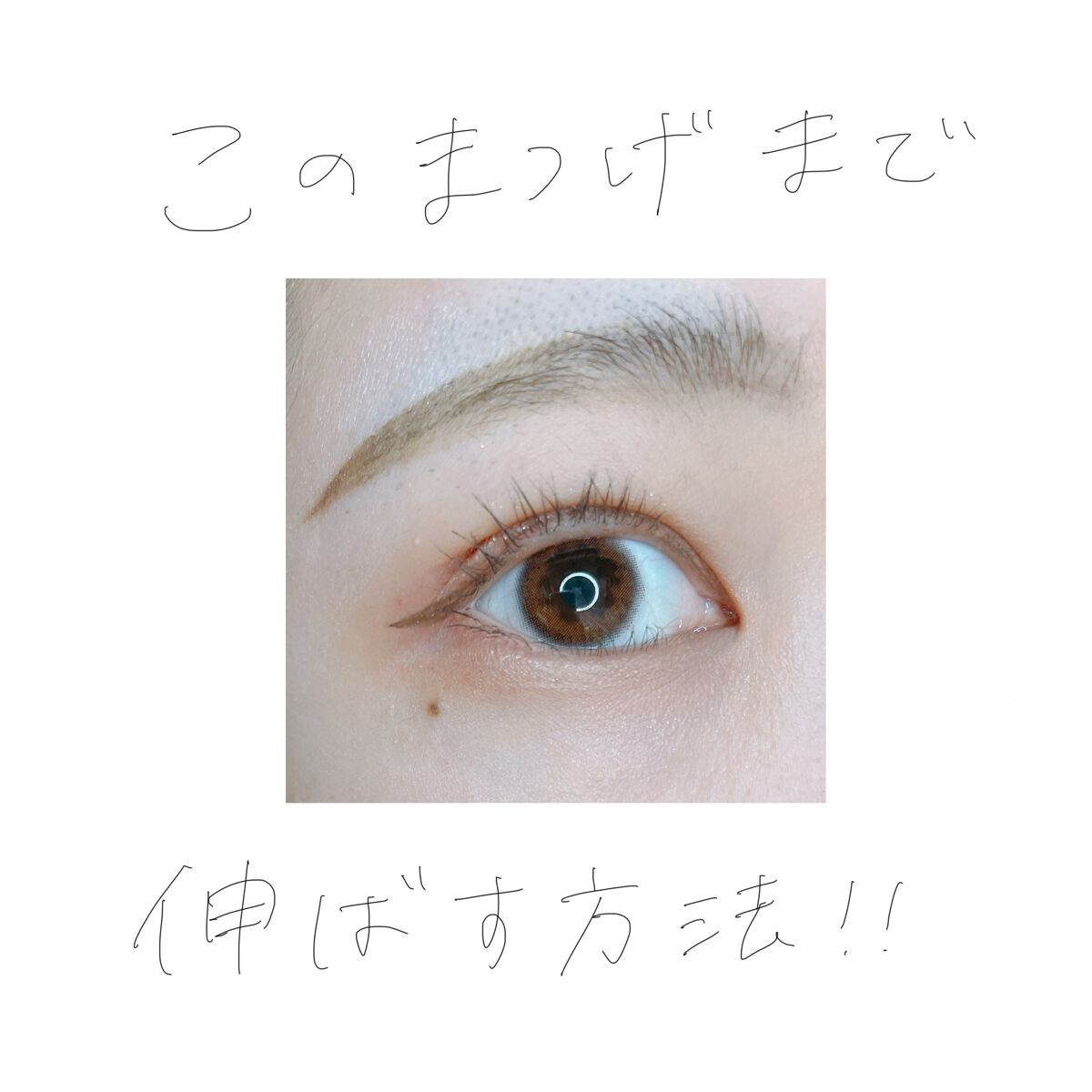 モデラッシュ/モデルアイズ/まつげ美容液を使ったクチコミ（1枚目）