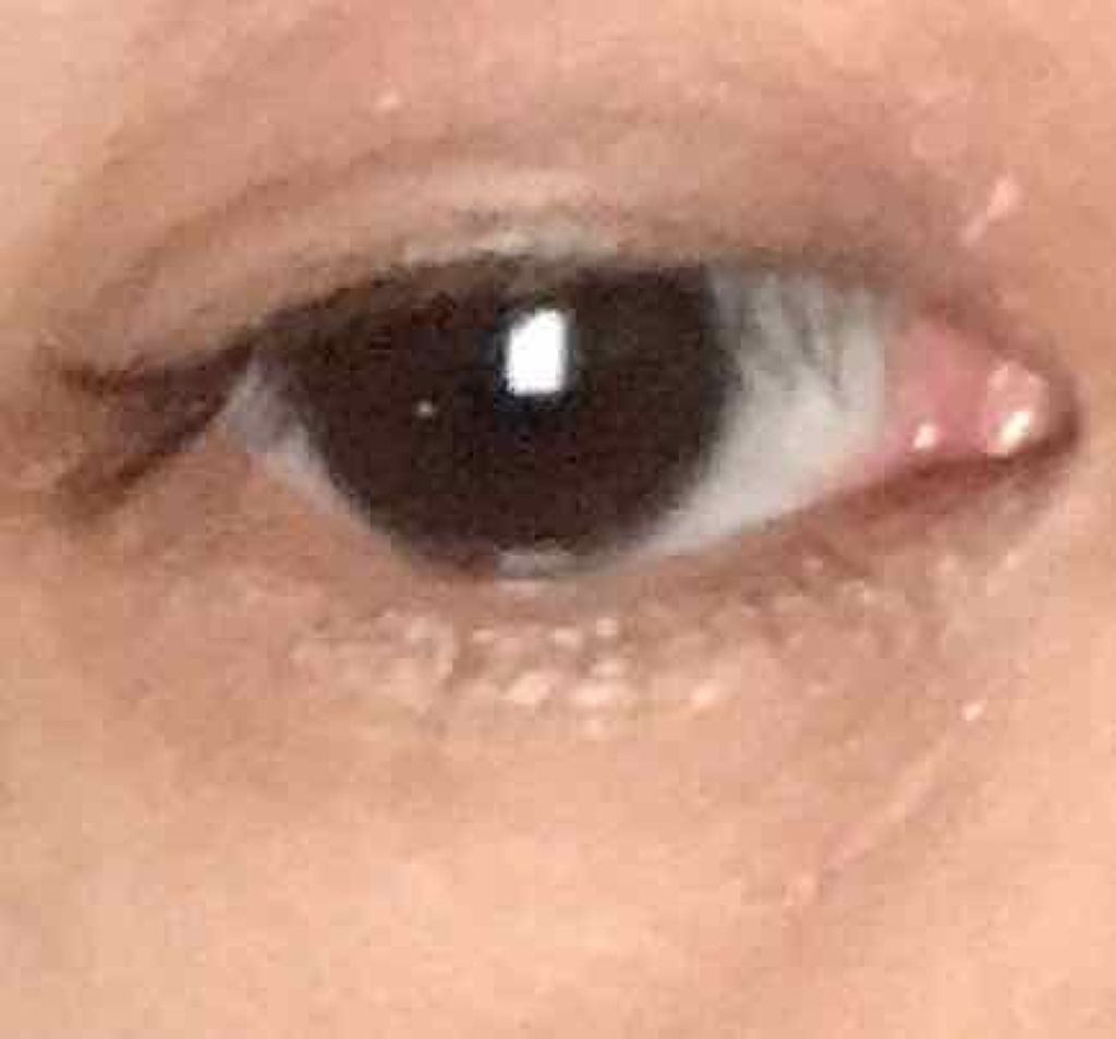 「密着アイライナー」しなやか筆リキッド/デジャヴュ/リキッドアイライナーを使ったクチコミ（3枚目）