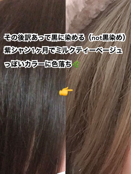 クオルシア カラーシャンプー/クオルシア/市販シャンプーを使ったクチコミ(4枚目)