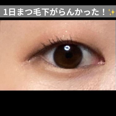 💭一重でまつ毛全然上がらない。
💭上げてもすぐ下がるし、どうしたらいいの〜😣と思っていたところ…

TikTokで少しバズってた＆前回投稿よりオススメしていただいたKOSEのまつ毛下地を使ってみたところ