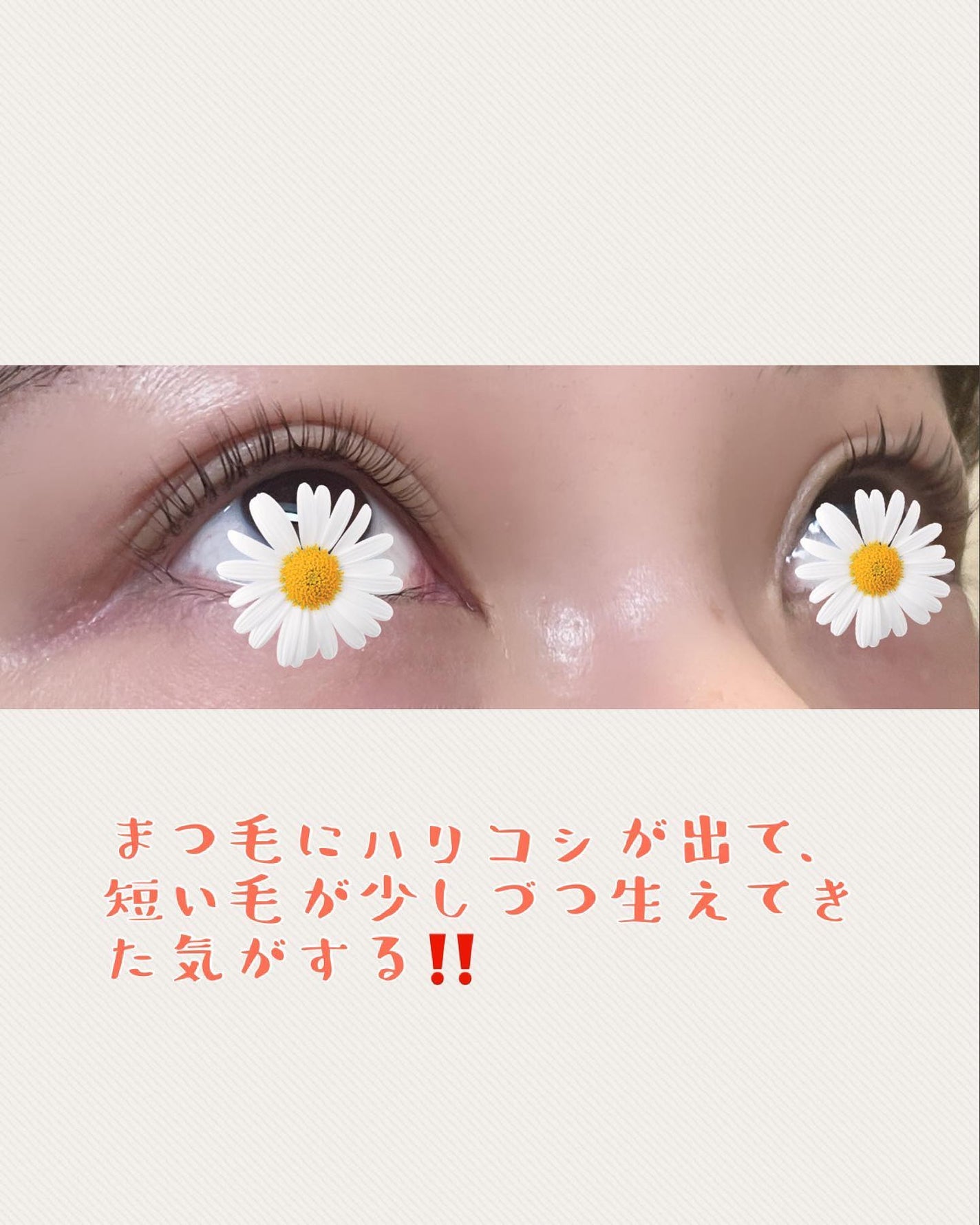 ミラクルアイラッシュアンプル/deartique/まつげ美容液を使ったクチコミ(4枚目)