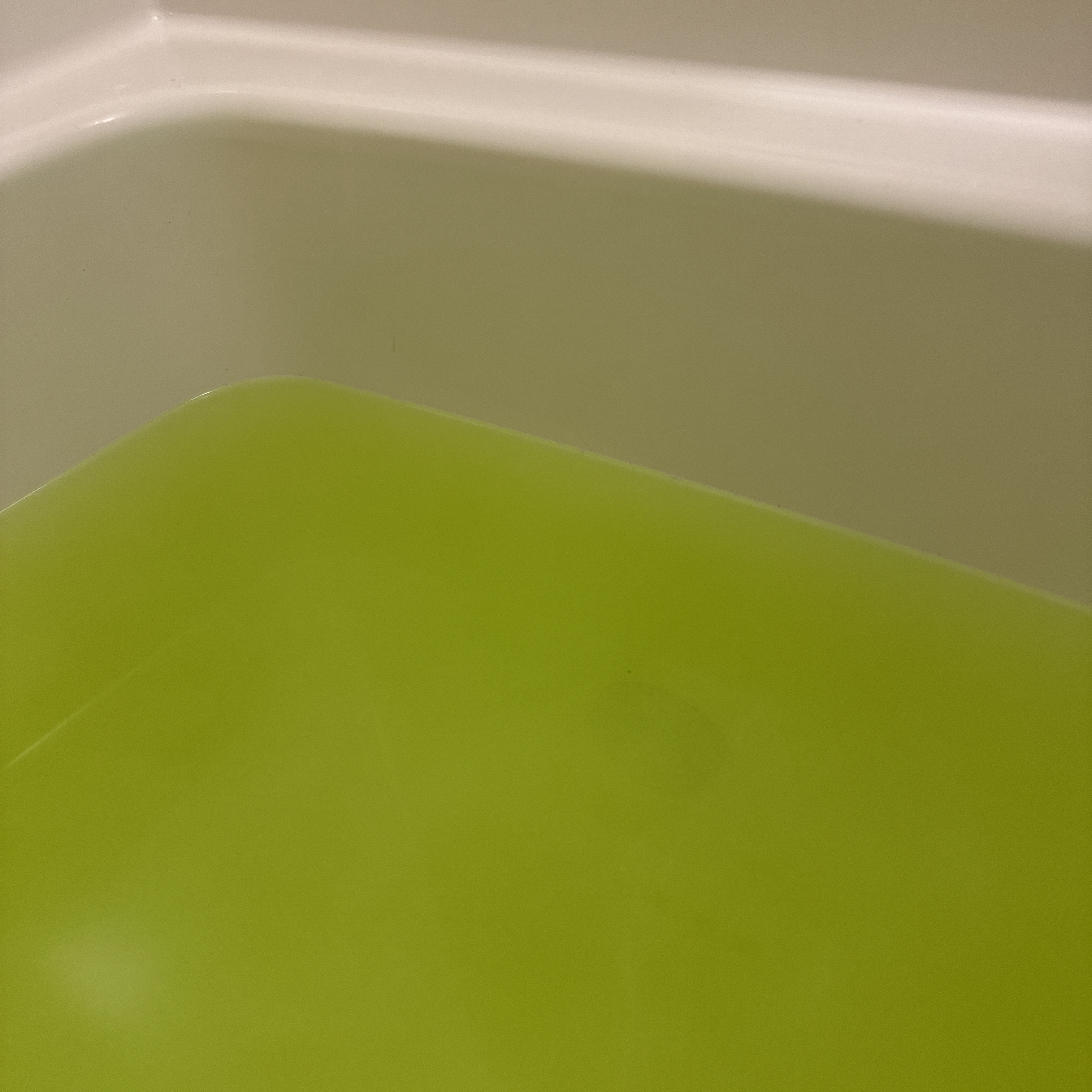 ヤングビーナス にごり湯/ヤングビーナス/無機塩系入浴剤を使ったクチコミ（3枚目）