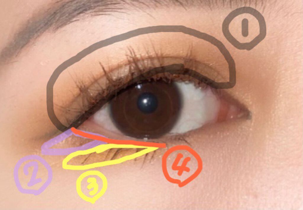 パーフェクトスタイリストアイズ/キャンメイク/アイシャドウパレットを使ったクチコミ（2枚目）