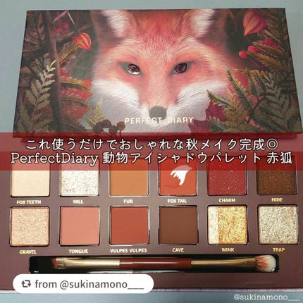 エクスプローラ12色 動物アイシャドウパレット/PERFECT DIARY/アイシャドウパレットを使ったクチコミ(1枚目)