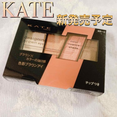 デザイニングブラウンアイズ BR-2 コーラルブラウン/KATE/アイシャドウパレットを使ったクチコミ（1枚目）