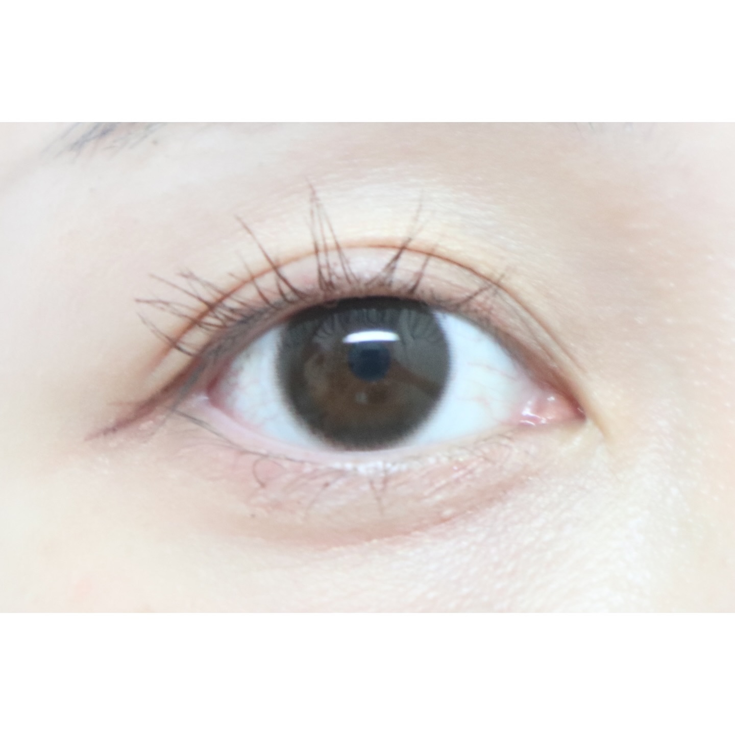 TOPARDS 1day/TOPARDS/ワンデー（１DAY）カラコンを使ったクチコミ（3枚目）