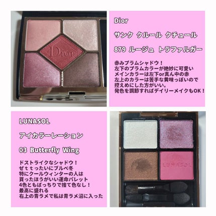 スキニーリッチシャドウ/excel/アイシャドウパレットを使ったクチコミ(6枚目)