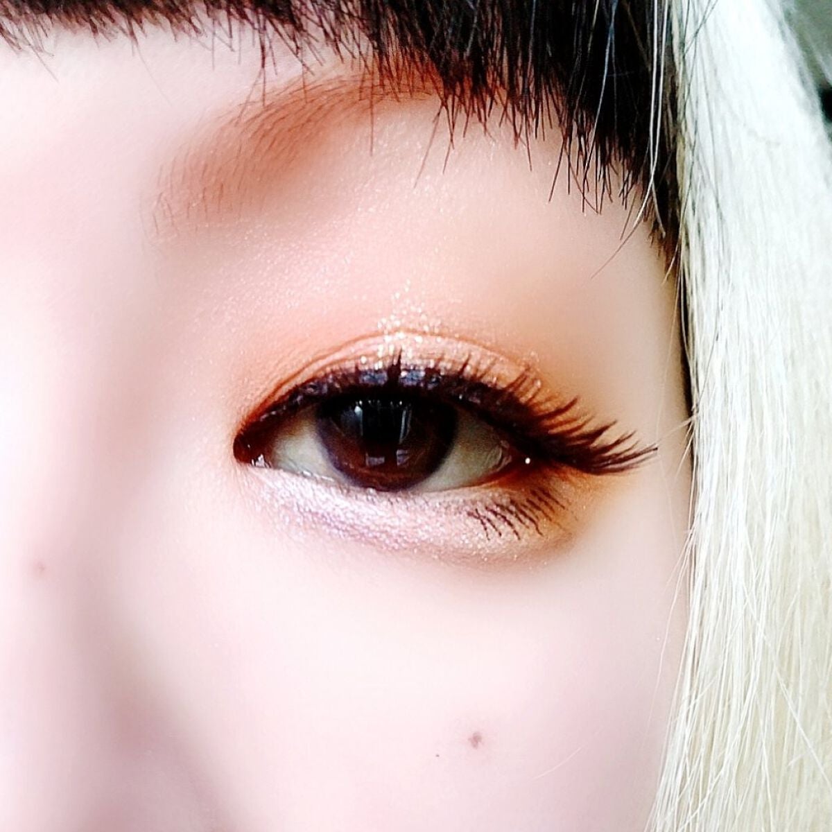 ZEESEA「ファンタジーパーク」12色アイシャドウパレット/ZEESEA/アイシャドウパレットを使ったクチコミ(5枚目)