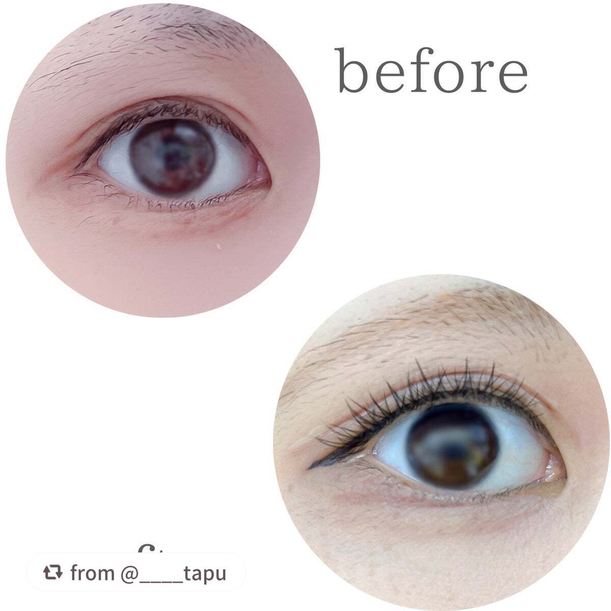 はさんであがるヒートカーラー/SHOBIDO/ホットビューラーを使ったクチコミ(2枚目)