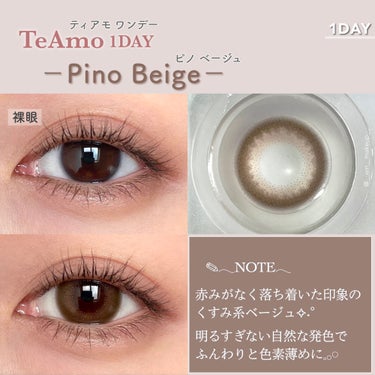 TeAmo 1DAY ピノ ブラウン/TeAmo/ワンデー（１DAY）カラコンの画像