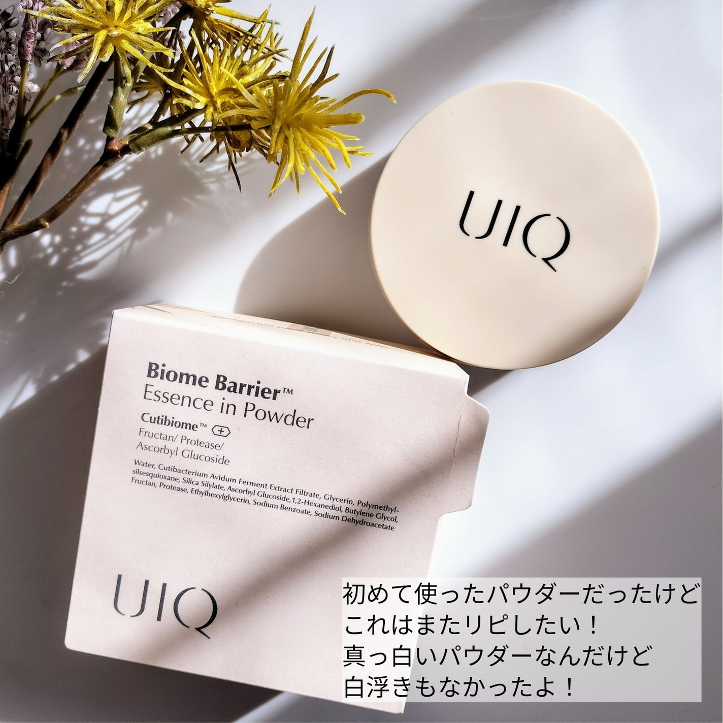バイオムバリアエッセンスインパウダー/UIQ/ルースパウダーを使ったクチコミ(6枚目)