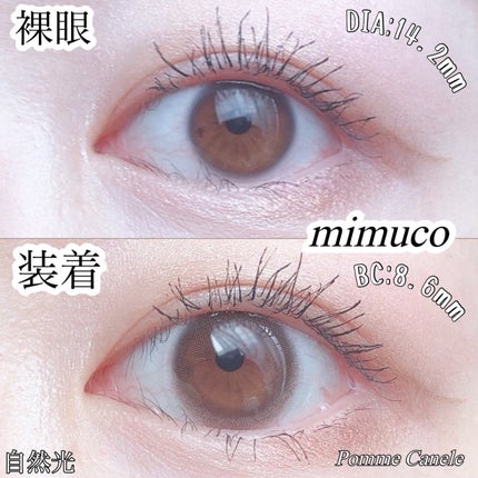 mimuco 1day/mimuco/ワンデー(1DAY)カラコンを使ったクチコミ(7枚目)