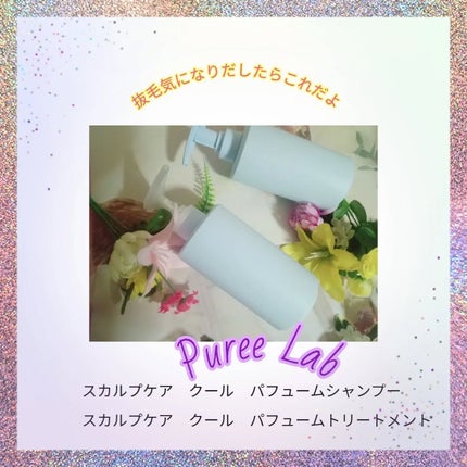 スカルプケアクールパフュームシャンプー/Puree Lab/市販シャンプーを使ったクチコミ(1枚目)