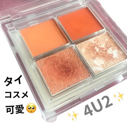 アイシャドウパレット/4U2/アイシャドウパレットを使ったクチコミ(1枚目)
