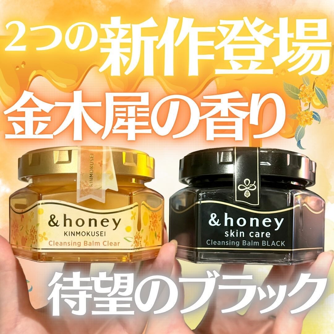 トマト【茶道具】遠州流十一代小堀宗明筆『一夜落花雨』軸B937B452 茶道具】遠州流十一代小堀宗明筆『一夜落花雨』掛軸 茶掛 軸B937