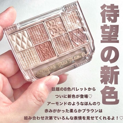 プティパレットアイズ/キャンメイク/パウダーアイシャドウを使ったクチコミ(4枚目)