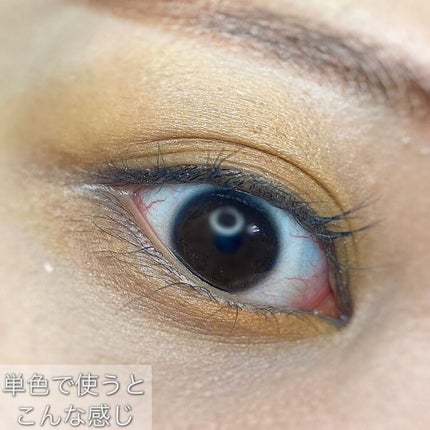 ケイト ザ アイカラー/KATE/単色アイシャドウを使ったクチコミ(5枚目)
