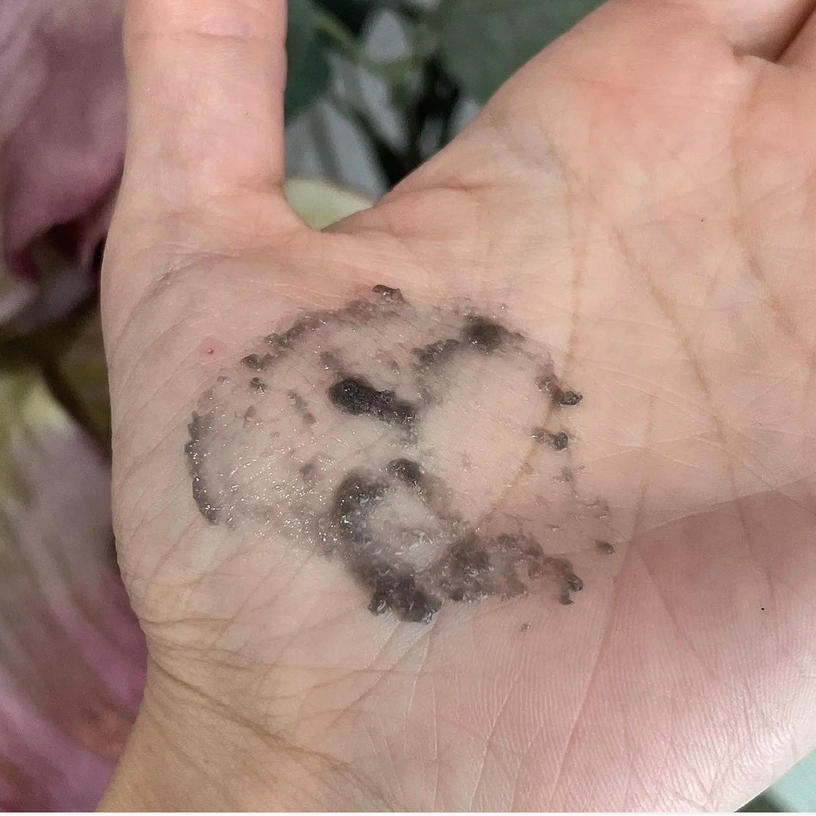 BLACK JELLY WASH(ブラックジェリーウォッシュ)/PLUEST/その他洗顔料を使ったクチコミ(4枚目)