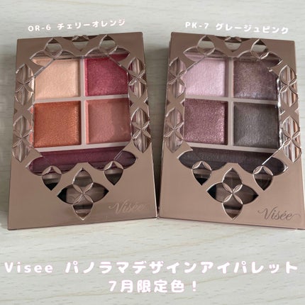 パノラマデザイン アイパレット/Visée/アイシャドウパレットを使ったクチコミ(1枚目)