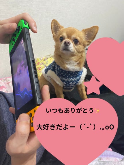 ネイルスタイラー/CLIO/マニキュアを使ったクチコミ(6枚目)