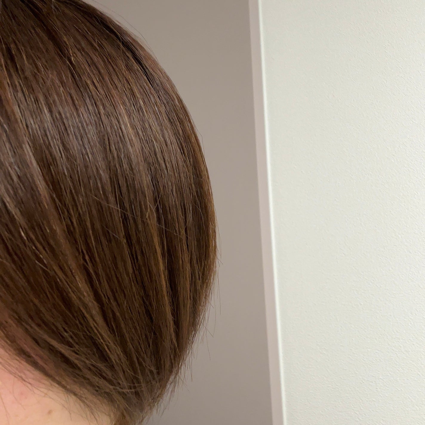 SILK THE RICH ヘアオイルMNM/SILK THE RICH/ヘアオイルを使ったクチコミ(6枚目)