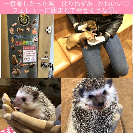 スチームクリーム/STEAMCREAM/ボディクリームを使ったクチコミ(5枚目)