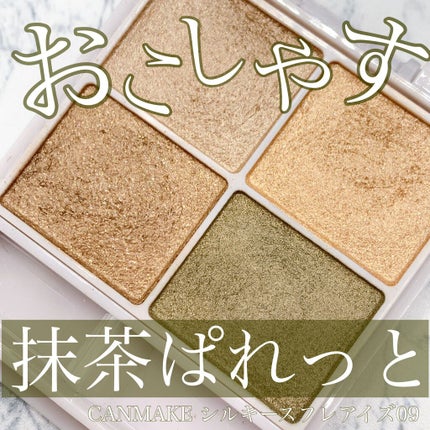 シルキースフレアイズ 09 アーバンカーキ/キャンメイク/アイシャドウパレットを使ったクチコミ(1枚目)